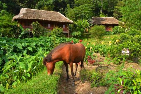 Panhou Retreat - Ha Giang