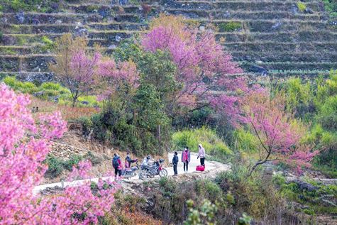 Vietnam da Sud a Nord in 10 Giorni
