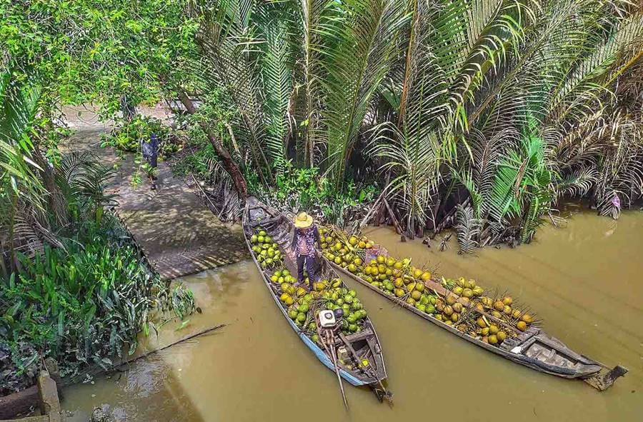 delta del mekong