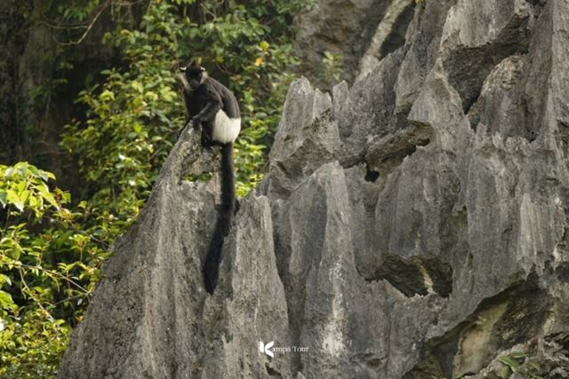 Hanoi – Ninh Binh (La Baia di Halong sulla terra) – Hanoi