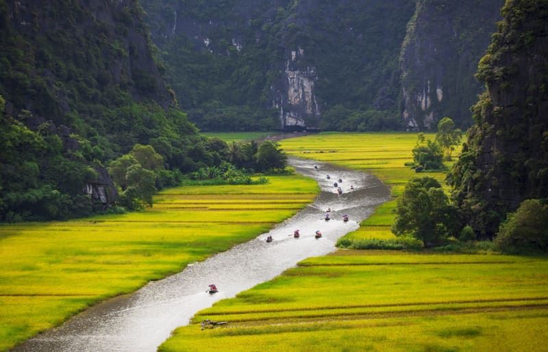 Majestic views of Ninh Binh's limestone peaks and vibrant rice fields.