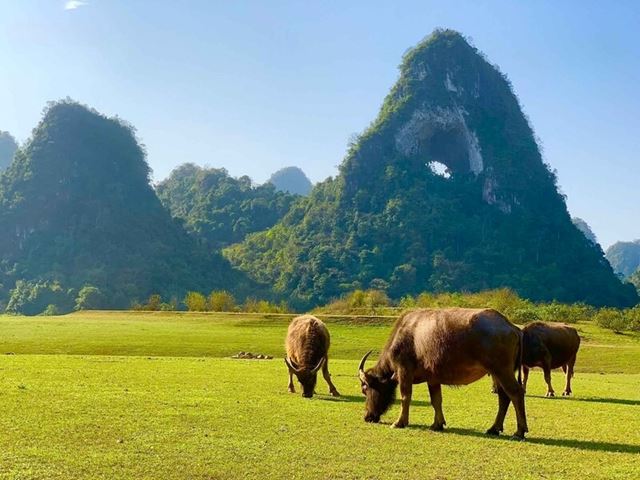Quang Uyen – Cascate di Ban Gioc – Cao Bang