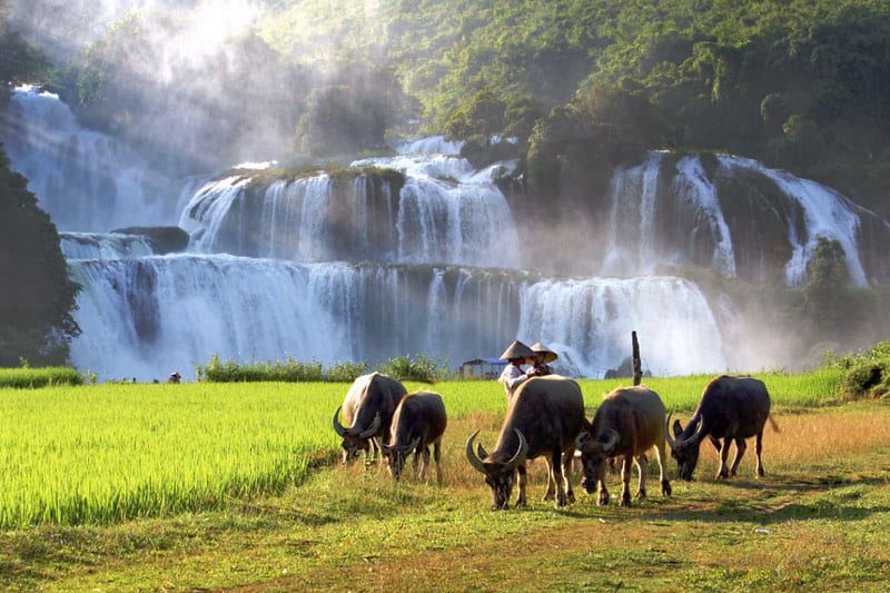 Alla scoperta delle Cascate di Ban Gioc