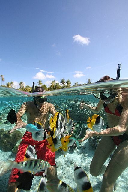 Snorkeling