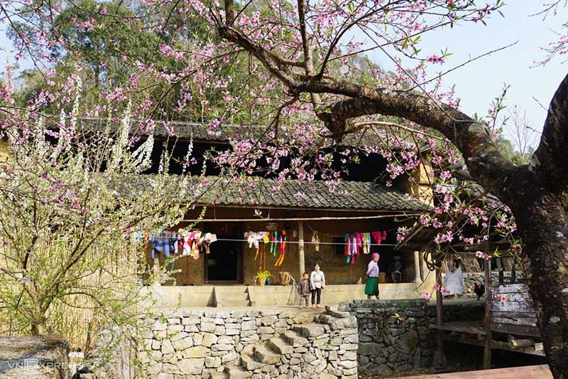 La diversità etnica prospera tra le montagne di Ha Giang.