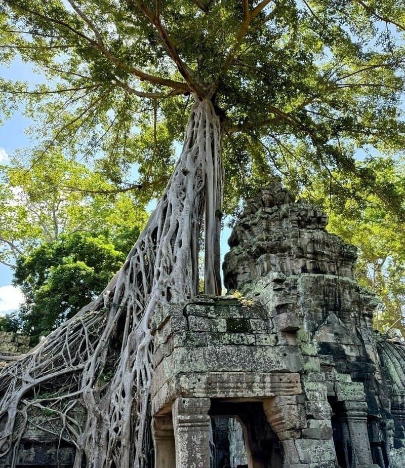 Nel complesso templare di Angkor