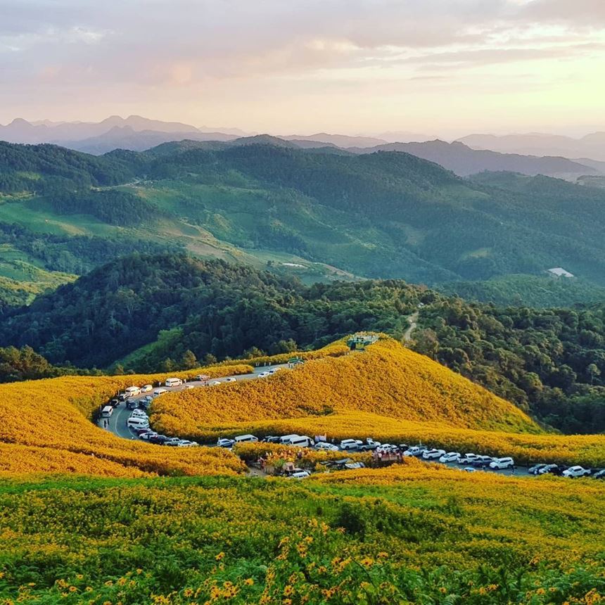 Il fascino di Chiang Mai: dove ogni strada racconta una storia unica.