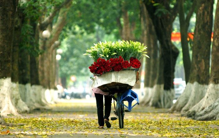 Hanoi, la capitale millenaria del Vietnam, dove tradizione e modernità convivono armoniosamente.