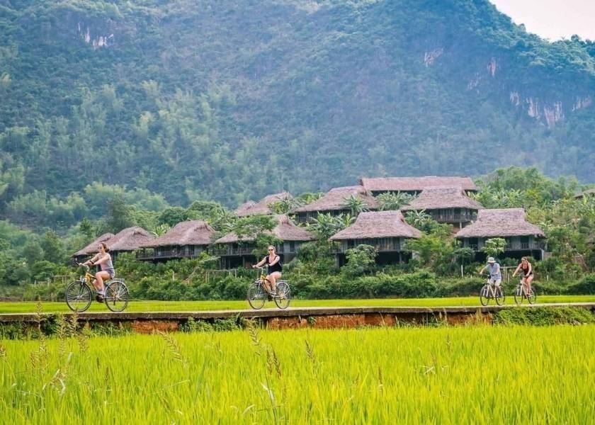 Mai Chau
